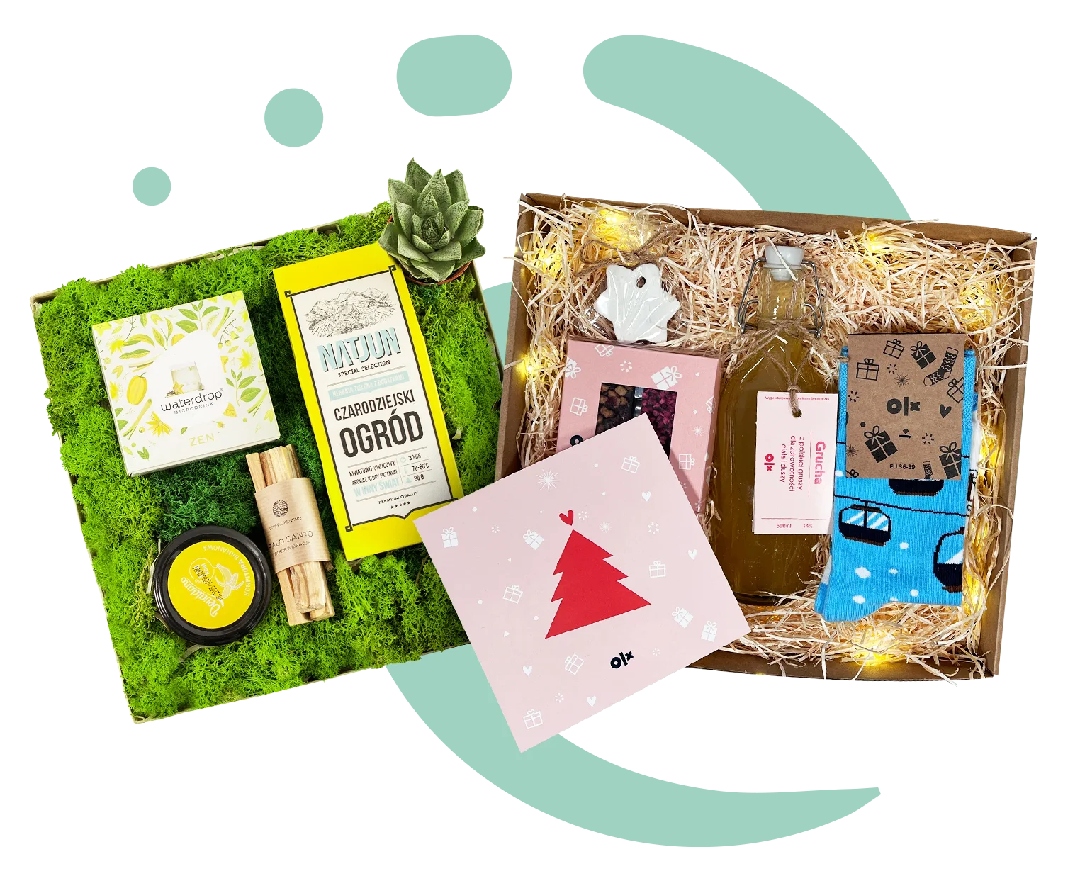 Oferta indywidualna -Magic Pack